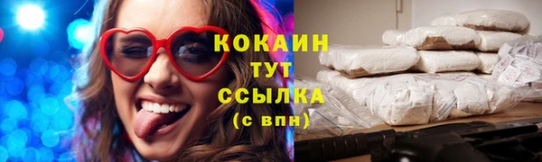 прущие грибы Зерноград