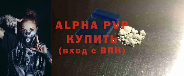 прущие грибы Зерноград