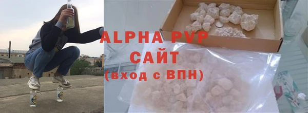 прущие грибы Зерноград