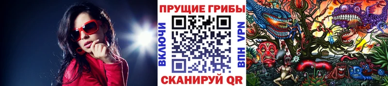 Купить где  Ефремов  Галлюциногенные грибы ЛСД 